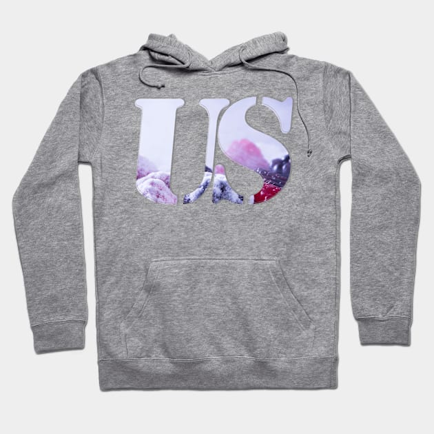 US Hoodie by afternoontees